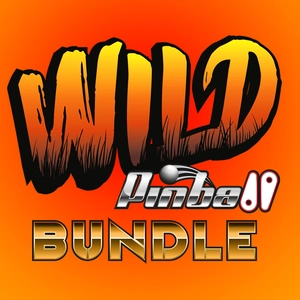 Wild Pinball Bundle Switch