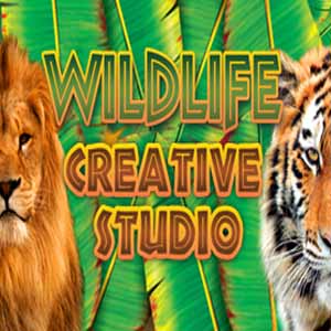 Comprar Wildlife Creative Studio CD Key Comparar Preços