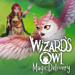 Wizards Owl Magic Delivery Switch
