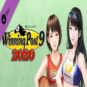 WP9 2020 Pc