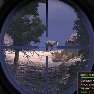 Cabela's The Hunt - Alvo