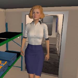 Cabin Crew Life Simulator - Comissário de Bordo