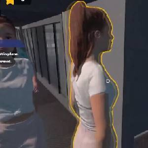 Cabin Crew Life Simulator - Passageiros