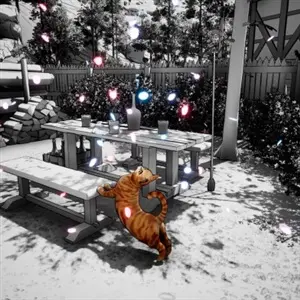 Cat Me If You Can - Gato Laranja