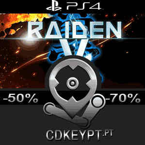 RAIDEN 5 Playstation 4
