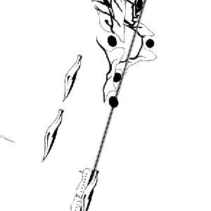 Chasing Light - Mundo Interior