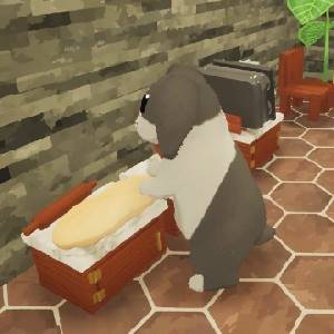 Cinnabunny - Formas Permitidas