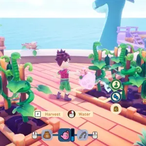 Collector's Cove - Água