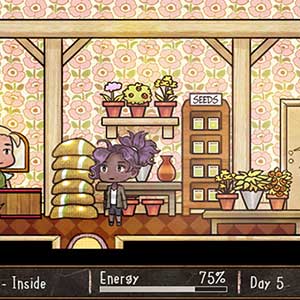 florista no interior