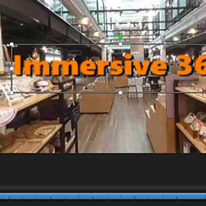 Disc Authoring & Online Sharing