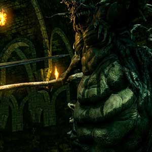 Explore the intricate world