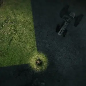 Darkwood Ruínas