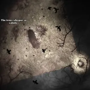 Darkwood Sepultura Aberta