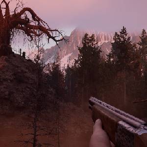 Decadent - Floresta Sem Luz