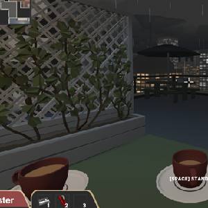 Deducto 2 Deck no Telhado