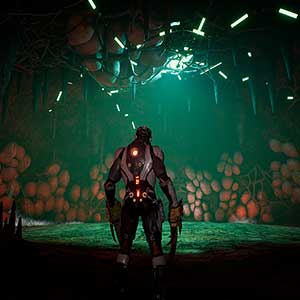 Dolmen Cova Das Aranhas