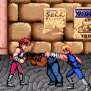 Double Dragon Trilogy briga