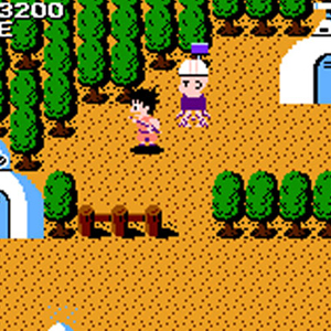 Dragon Ball Shenron no Nazo