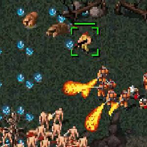 Dying Breed - Hordas