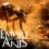 Assista ao impressionante trailer de UE5 de Empire of the Ants