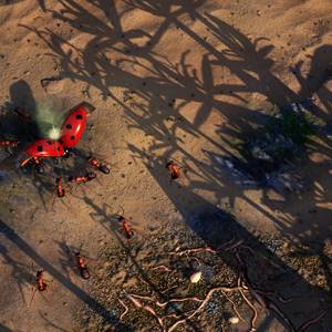 Empires of the Undergrowth Joaninha Combatente