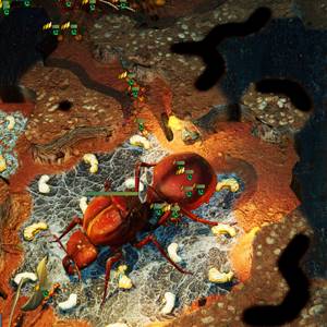 Empires of the Undergrowth Rainha Formiga