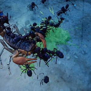 Empires of the Undergrowth Exploding Ants - Escorpião