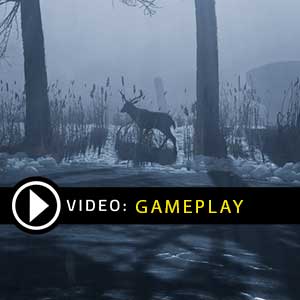 Fade to Silence Gameplay Video