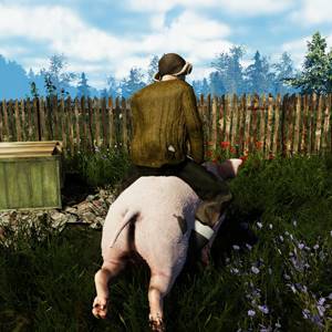 Farmer’s Life - Fofinho