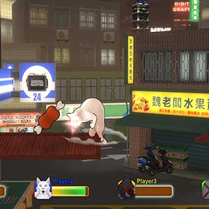 Fight of Animals Arena Gato Esguio