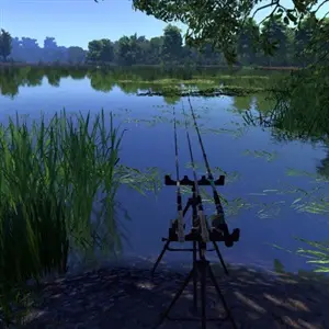 Fisher Online - Tripé de Pesca