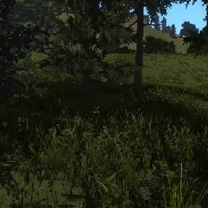 Fleeting Ages - Vegetação