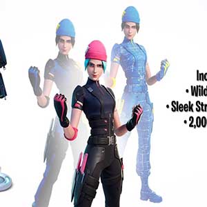 Fortnite Wildcat Bundle Nintendo Switch - Pacote