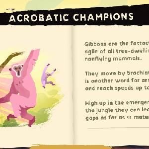 Gibbon Beyond the Trees - Campeões Acrobáticos