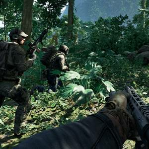 Gray Zone Warfare - Floresta