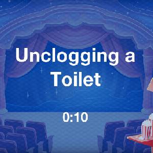 Heads Up Phones Down Edition - Desentupir um Vaso Sanitário