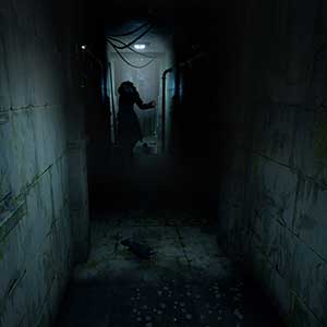 HORROR TALES The Wine Homem Sem Cabeça