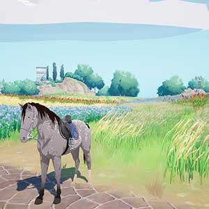 Horse Tales Emerald Valley Ranch - Cavalo nas Culturas