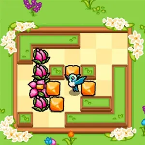 Hummingbird Garden - Pássaro