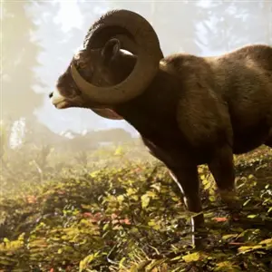 Hunting Simulator 3 - Carneiro-selvagem-das-Rochosas