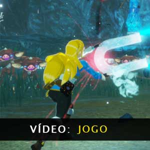 Hyrule Warriors Age of Calamity Jogo de vídeo