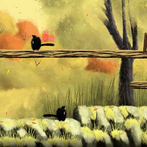 orchestra and piano music,