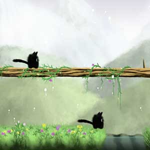 control two cats simultaneously