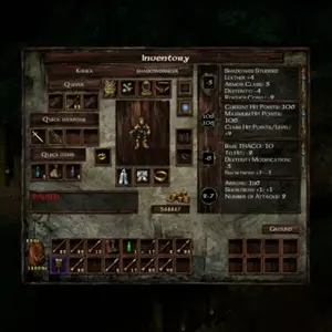 Icewind Dale: Enhanced Edition – Inventário