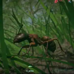 Insect Worlds - Formiga