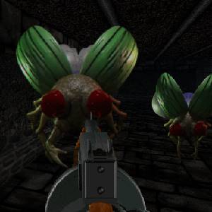 Killing Time Resurrected - Insetos