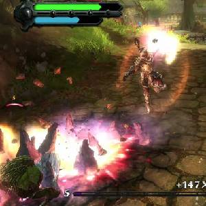 Kingdoms of Amalur Reckoning - Mais 147 XP