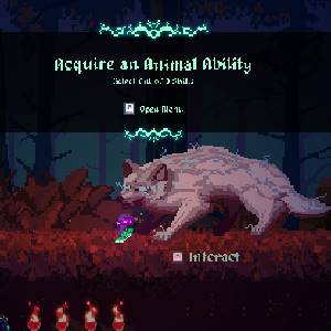 Koboo The Tree Spirit - Habilidade Animal