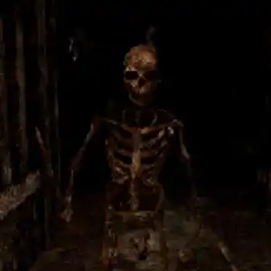 Labyrinth Of The Demon King - Esqueleto