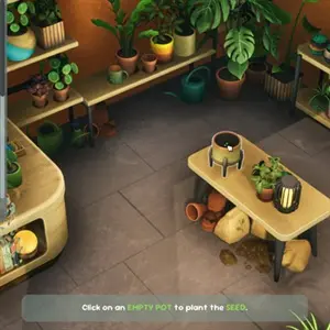 Leafy Corner - Plantas